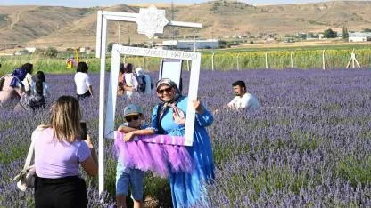 Aksaray'da Mor Mevsim Başladı: Lavanta Bahçesi Ziyaretçilerini Ağırlıyor